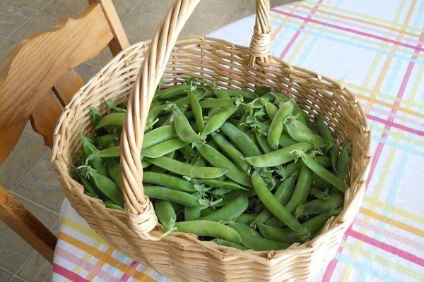 Fibromialgia: se l'intestino è regolare il dolore si riduce